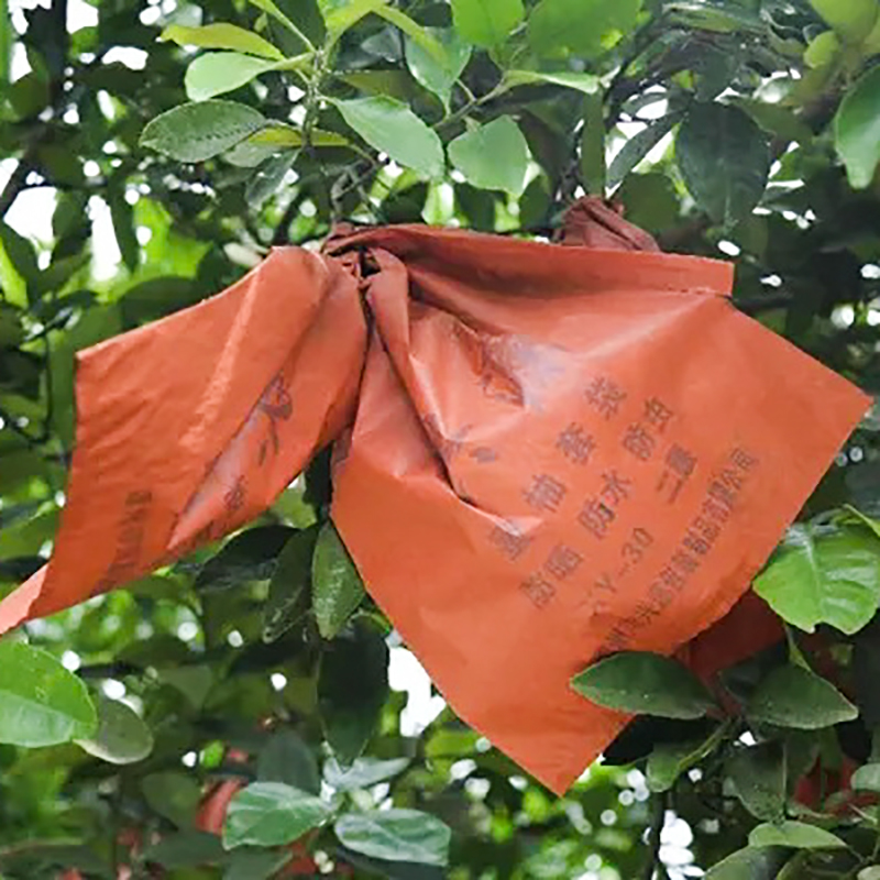 Bolsa de protección de pomelo